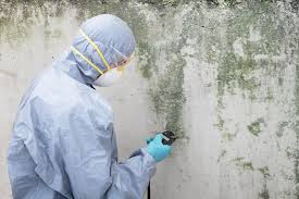 Best Real Estate Mold Inspection in La Plata, MO